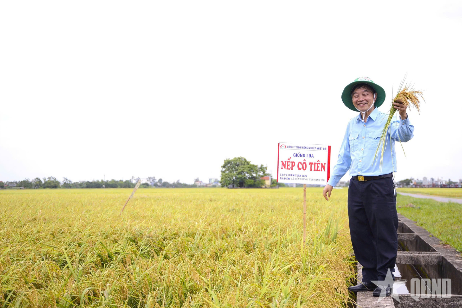 Mất tay phải, “viết lại cuộc đời” bằng tay trái - Bài 1: Từ “coi như chết rồi” đến giảng đường đại học